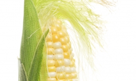 Corn Cake recipe