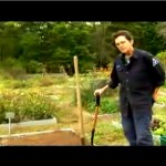 Basic Gardening