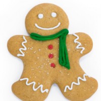 2008.12.16 - Gingerbread man