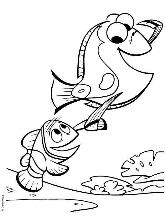 Nemo 2
