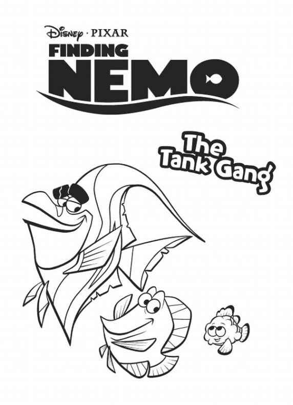 Nemo 3