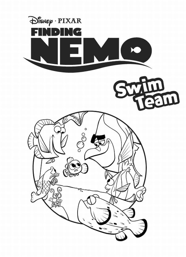 Nemo 4