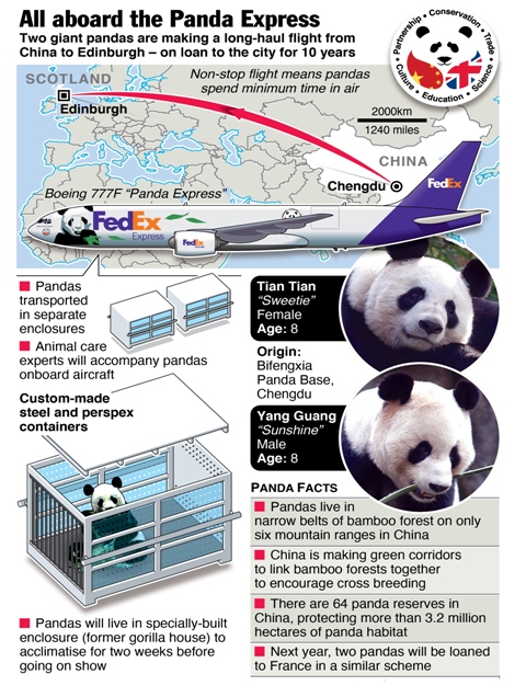2012 január panda