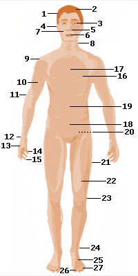 2008.10.14 - Body Parts 2
