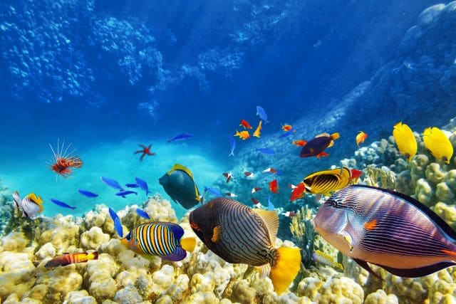 Sea Idioms - Tengeres angol idiómák (szókincs) 3