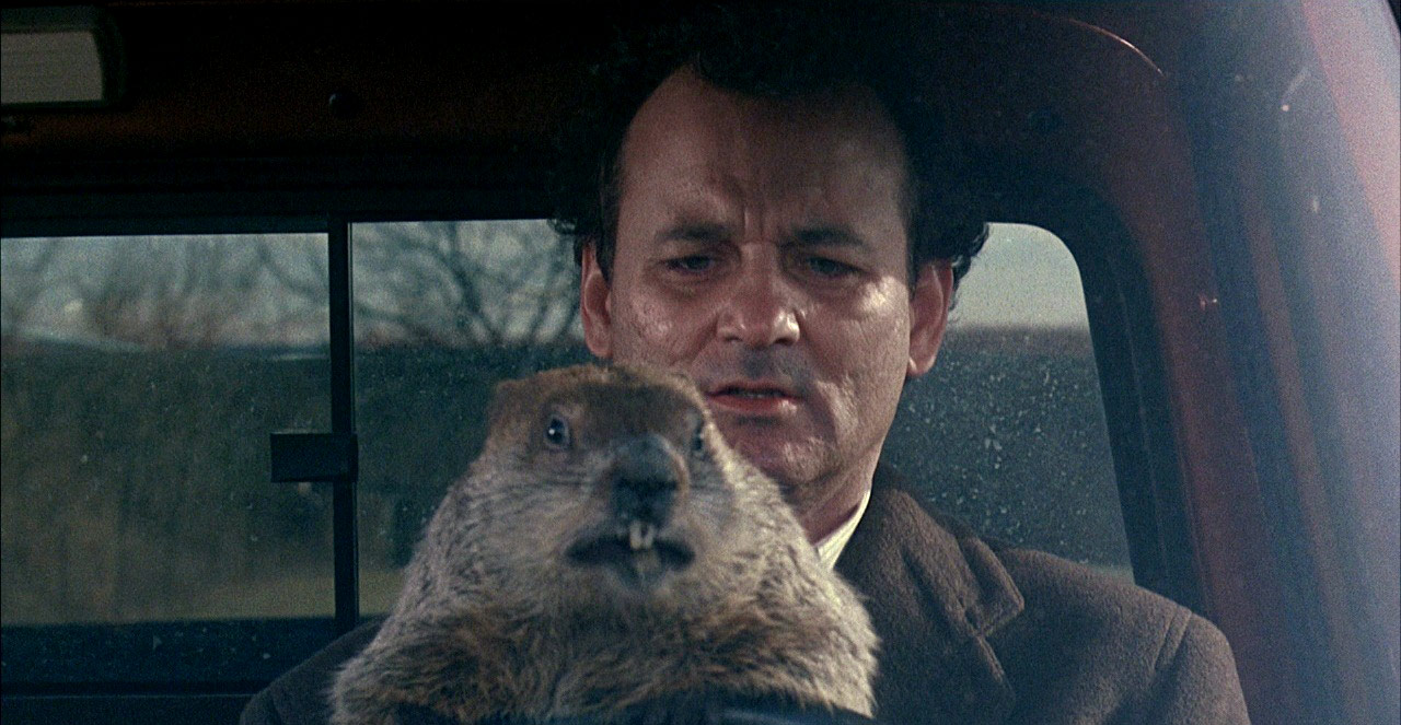 It's Groundhog Day! 1