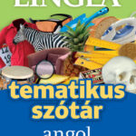 tematikus szótár